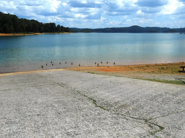 We stopped at the small park and boat dock at the intersection of Lakeshore Drive and 92.