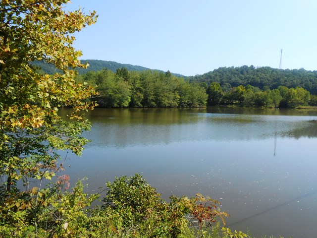 Looking over Watts Bar Lake.