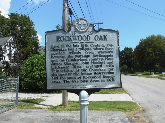 Wish we could of seen the tree!