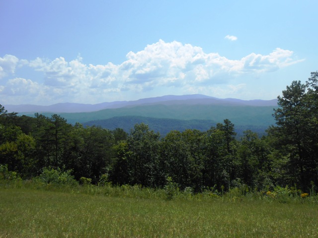 View from one of the overlooks on the Foothills.