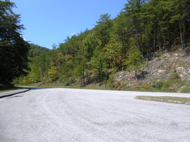 Leaves will be turning in another month.